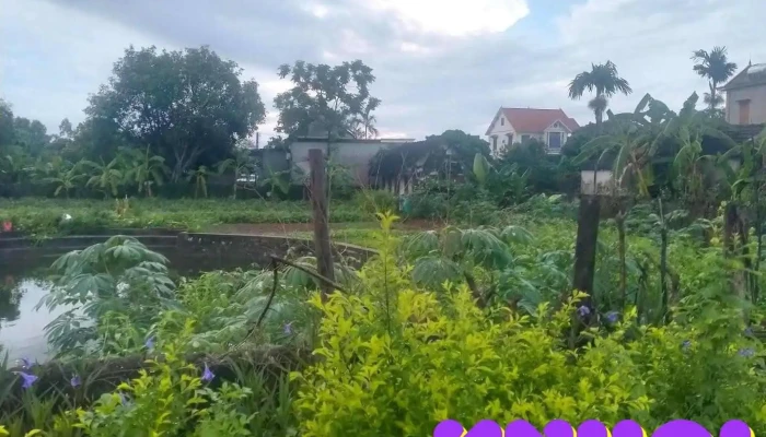 Cầu Âu khánh thiện - Ninh Bình