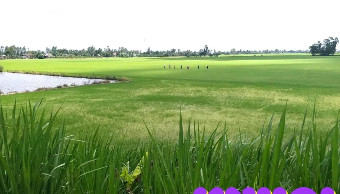 Cầu Ranh Giới - Tân Thành