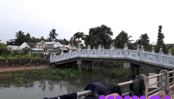 Cầu Vườn Hồng - Tân Qúy Đông