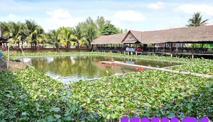 Cồn Phụng Tourist Khu vui chơi và du lịch Bến Tre - Bến Tre