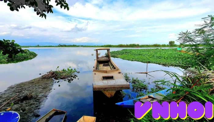Cồn Đá Sen Lúa Phú Điền - Phú Điền
