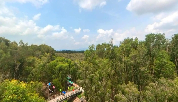 Dai Quan Sat   Rung Tram Tra Su Che Do Xem Pho Va 360deg - An Giang