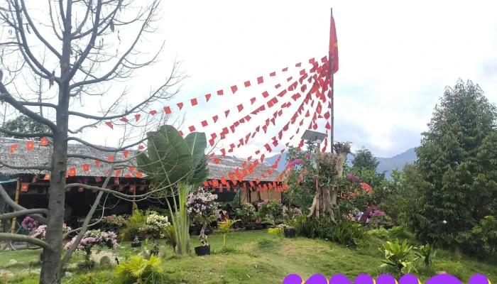 Dami Farm Tat Ca - Bình Thuận
