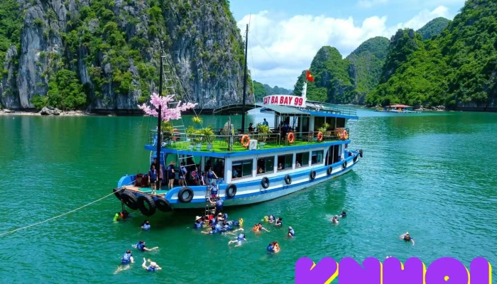 Dang Khoi Tourist   Cat Ba Bay Cruise Tat Ca - Hải Phòng