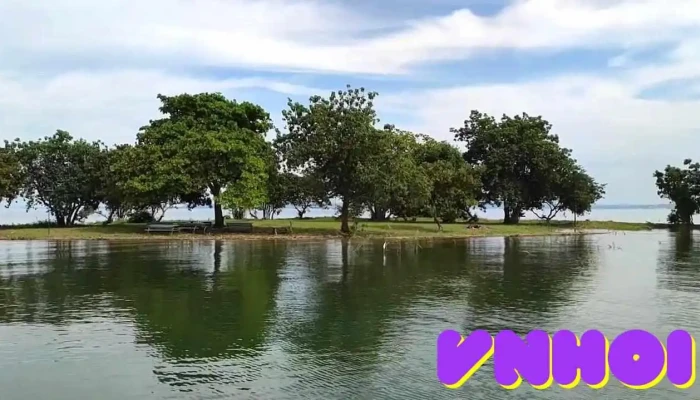 Dao Cao Minh Video - Đồng Nai