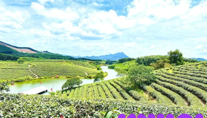 Dao Che Thanh Chuong Tat Ca - Nghệ An