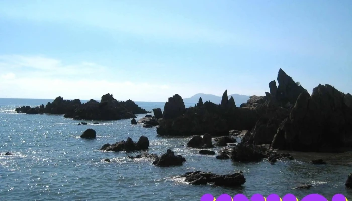 Dao Hon Ngu Bai Bien - Nghệ An
