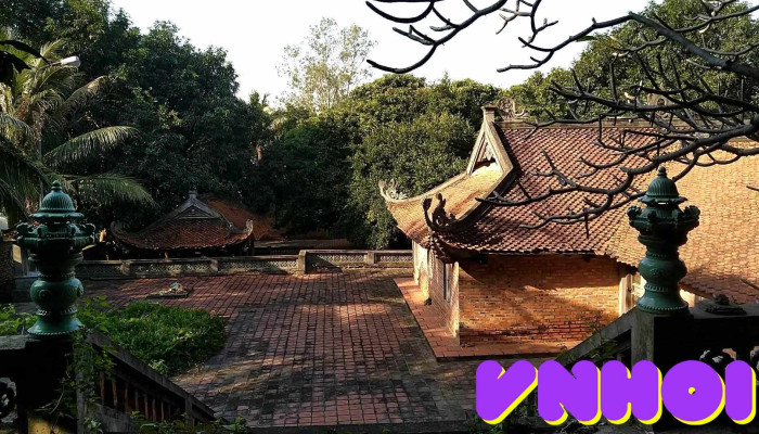 Dao Hon Ngu Video - Nghệ An