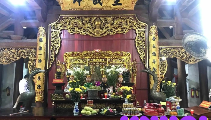 Den Con Tat Ca - Nghệ An