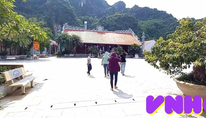 Den Dong Son Video - Hòa Bình