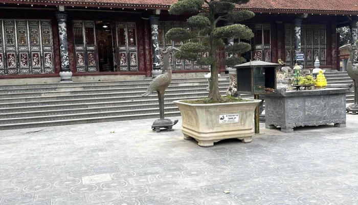 Den Mau Dong Cuong Moi Nhat - Yên Bái