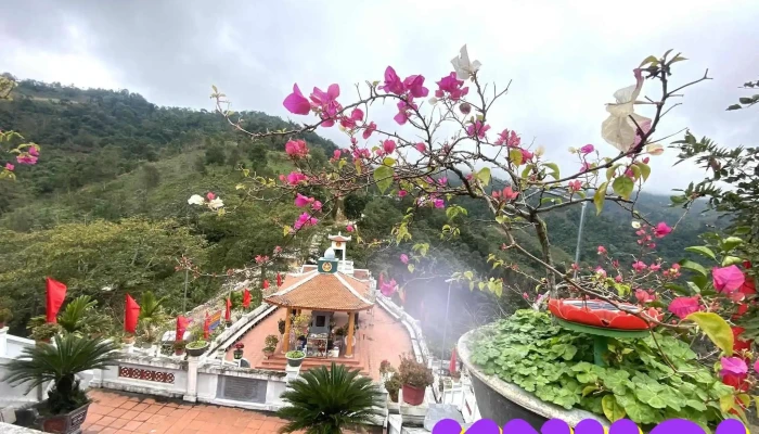 Den Tho Cac Ahls Mat Tran Vi Xuyen 468 Tat Ca - Hà Giang