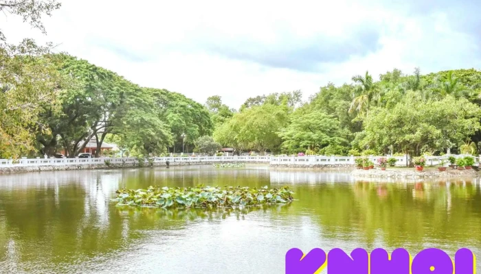 Den Tho Chu Tich Ho Chi Minh Tat Ca - Ninh Bình