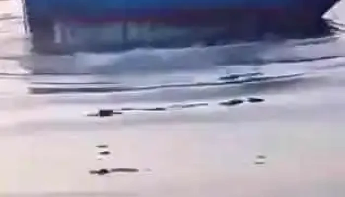 Den Van Loc Video - Nghệ An