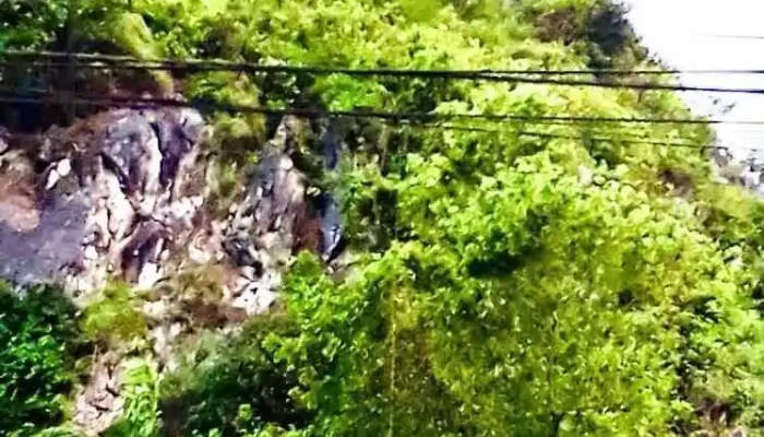 Di chỉ Khảo cổ học Mai Pha - Lạng Sơn