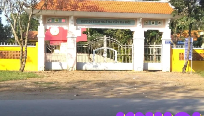Di Tich Cay Da Doi Khong Gian Cong Cong - Bến Tre