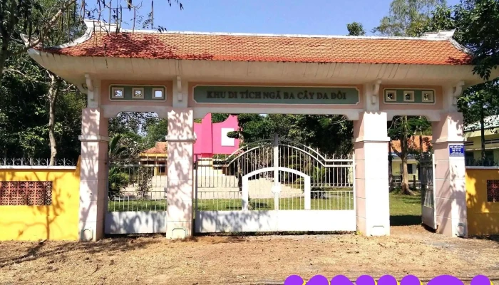 Di Tich Cay Da Doi Tat Ca - Bến Tre