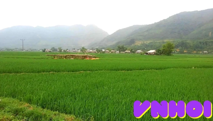 Di Tich Chien Khu Van Moi Nhat - Yên Bái