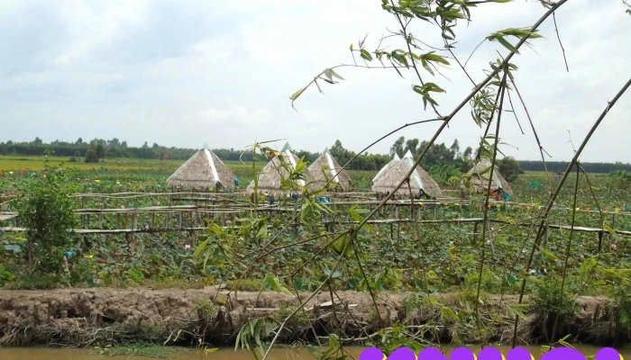 Di tích lịch sử và khảo cổ Gò Tháp - Tân Kiều