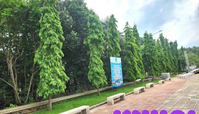 Di tích đường Hồ Chí Minh trên biển - Bến Lộc An - Cầu Sông Ray Đường Ven Biển
