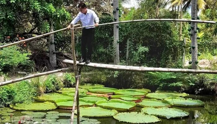 Diem Du Lich Sinh Thai Long Hung Ngoai That - Tiền Giang