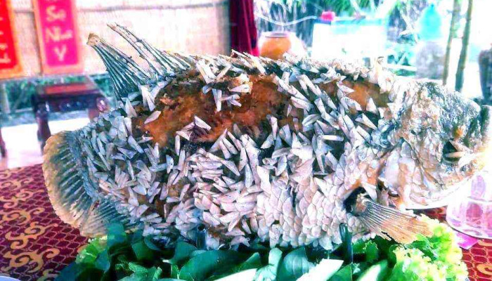 Diem Du Lich Sinh Thai Long Hung Thuc Pham Va Do Uong - Tiền Giang