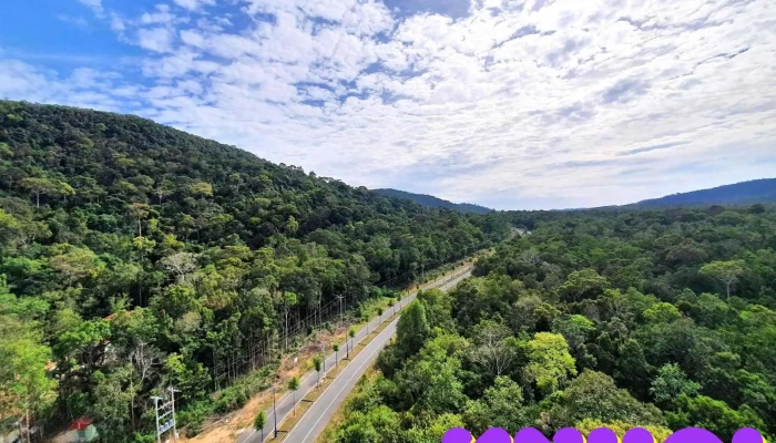 Diem Tham Quan Rung Quoc Gia Tat Ca - Kiên Giang
