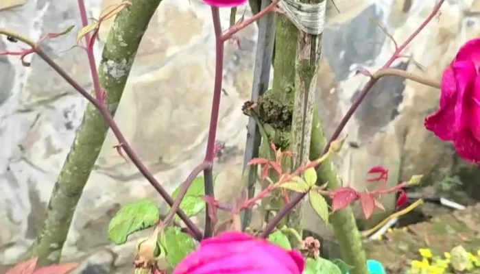 Dinh Gio   Diem Ngam May Ta Xua Moi Nhat - Sơn La