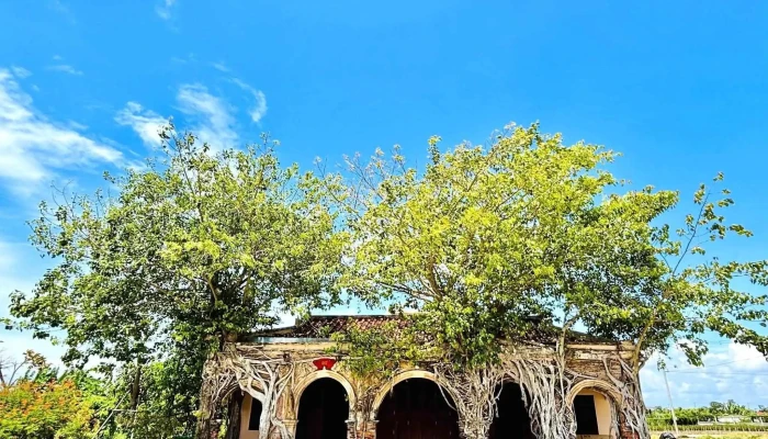 Dinh Go Tao Moi Nhat - Tiền Giang