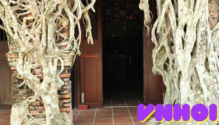 Dinh Go Tao Video - Tiền Giang