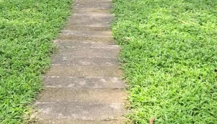 Dinh Hong Thai Moi Nhat - Tuyên Quang