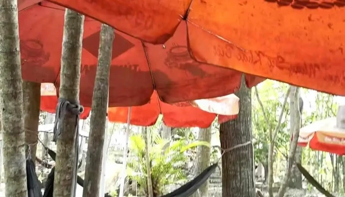 Dinh Long Thanh Video - Vĩnh Long