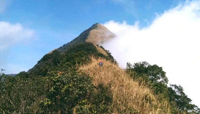 Dinh Phia Po Nui Cha 1541m Nui - Lạng Sơn