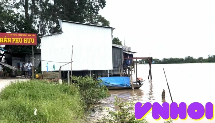 Dinh Than Phu Huu Video - Đồng Tháp