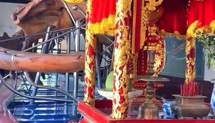 Dinh Van Thuy Tu Video - Bình Thuận