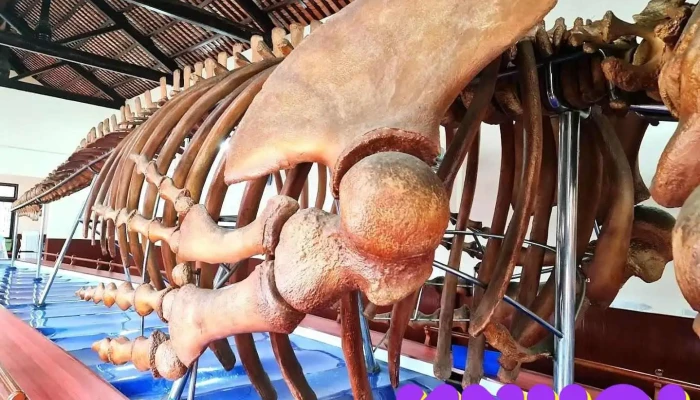 Dinh Vạn Thủy Tú - Bình Thuận