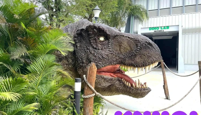 Dino Park Phan Thiet Cua Chu So Huu - Bình Thuận