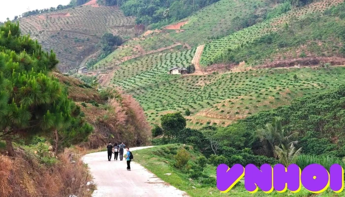 Doi Bat Up Moi Nhat - Lâm Đồng