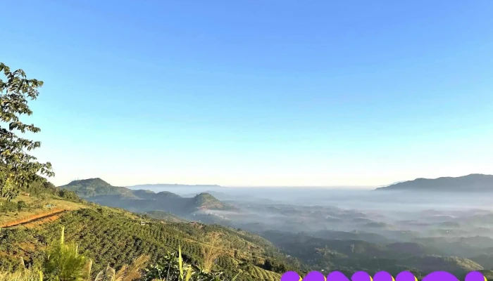 Doi Bat Up Nui - Lâm Đồng