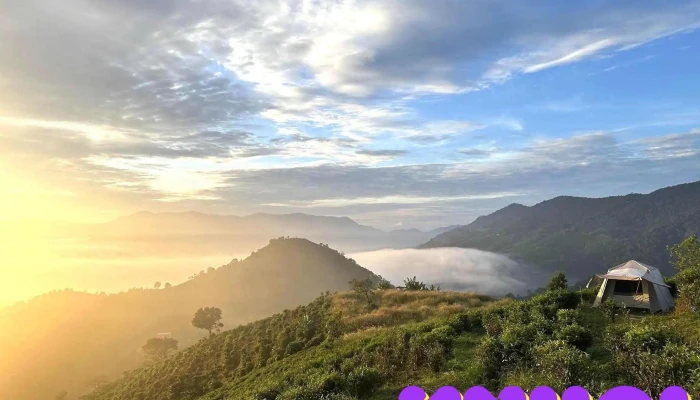 Doi Bat Up Tat Ca - Lâm Đồng