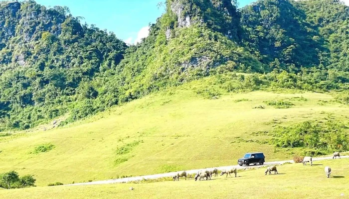 Doi Co Phan Thanh Nui - Cao Bằng