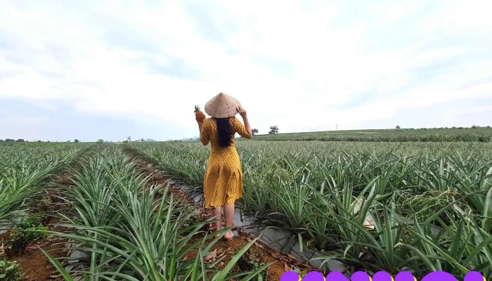 Doi Dua Tam Diep Tat Ca - Ninh Bình