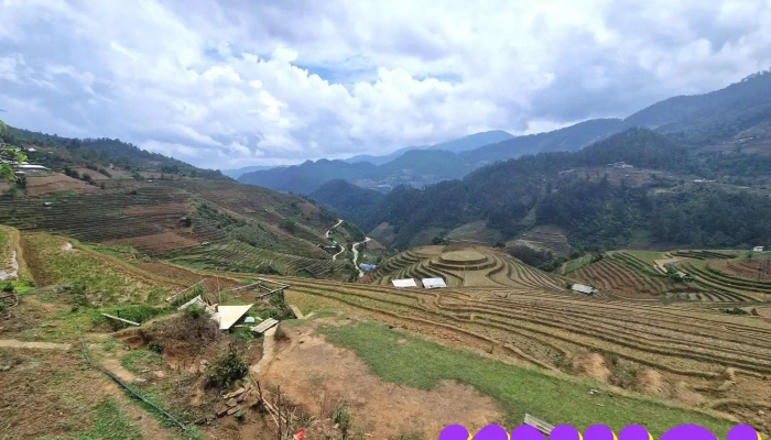 Doi Mam Xoi La Pan Tan Moi Nhat - Yên Bái