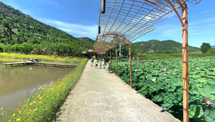 Dong Cuu Suoi Tien Che Do Xem Pho Va 360deg - Ninh Thuận