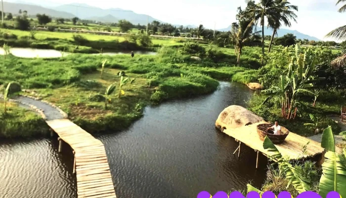 Dong Cuu Suoi Tien Cua Chu So Huu - Ninh Thuận