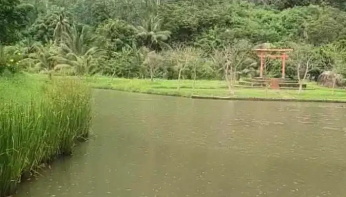 Dong Cuu Suoi Tien Nui - Ninh Thuận