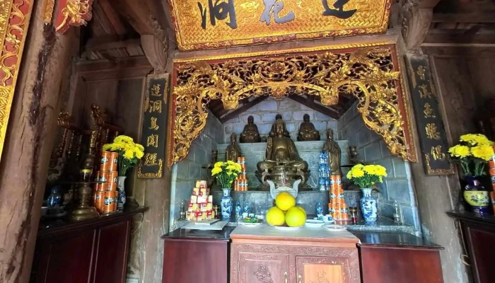 Dong Lien Hoa Che Do Xem Pho Va 360deg - Ninh Bình
