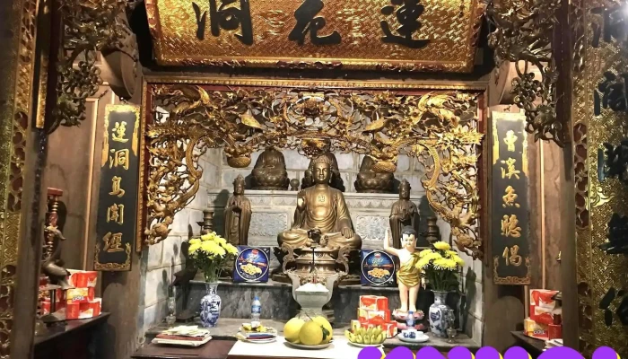 Dong Lien Hoa Tat Ca - Ninh Bình