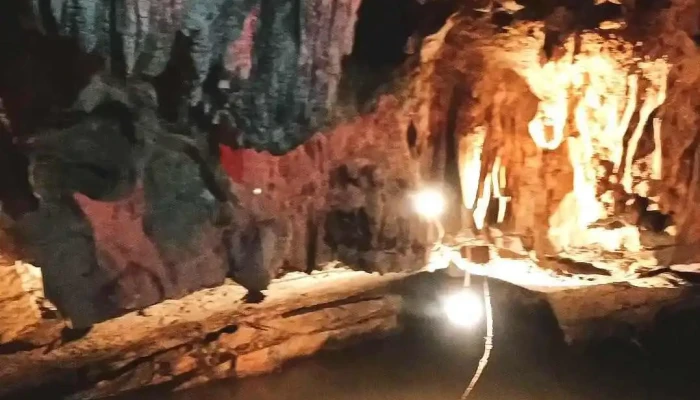 Dong Tien Ca Video - Ninh Bình