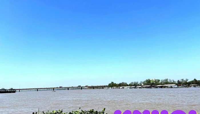 Du Lich Con Phung Ben Tre Moi Nhat - Bến Tre